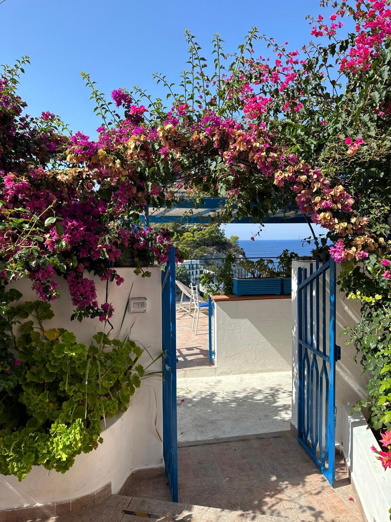 Casa Talento Villa Ponza Bagian luar foto